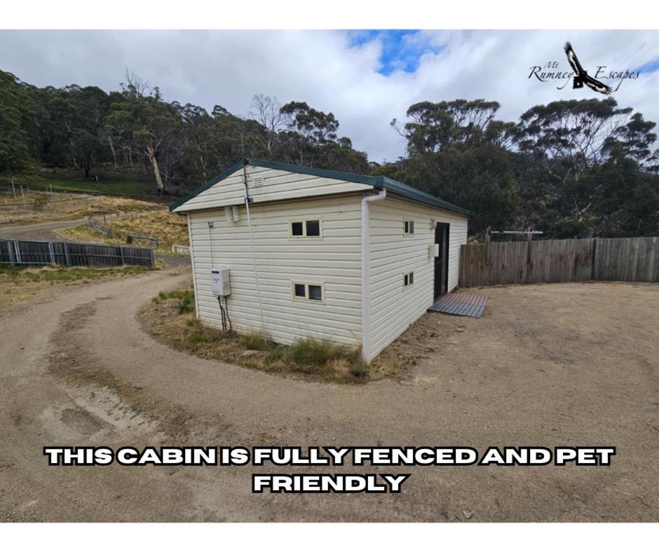 Mount Rumney Escapes - Platypus Cabin מראה חיצוני תמונה